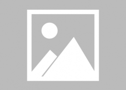 免费国产a,打造高效便捷的数字生活