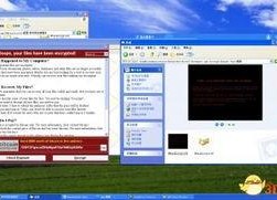 xp123国产,国产品牌的创新力量与市场影响力