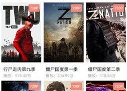 精品国产视频在线,尽享视听盛宴，领略光影魅力