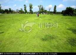 青青青草国产免费观看,国产免费观看，绿色生态影视盛宴