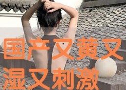 三级国产黄,揭秘我国影视产业的独特魅力与挑战