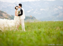 青青青草国产免费,国产影视的清新之作