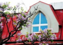 丁香五月国产,国产生态的生机盎然