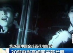 国产片子,光影交织下的时代印记